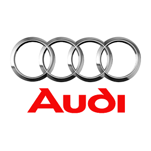 Clienti RICO - Audi